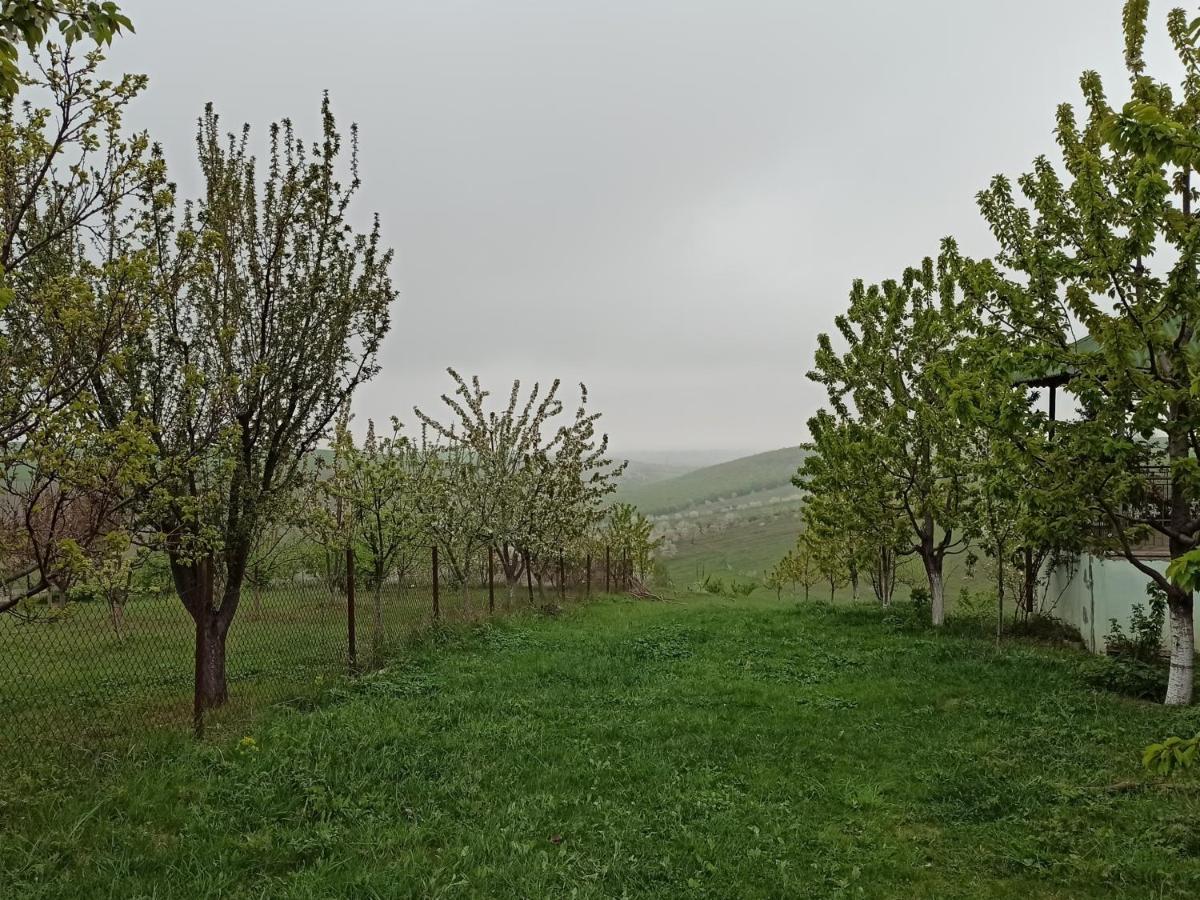 Willa La Casa De Habel Quba Zewnętrze zdjęcie