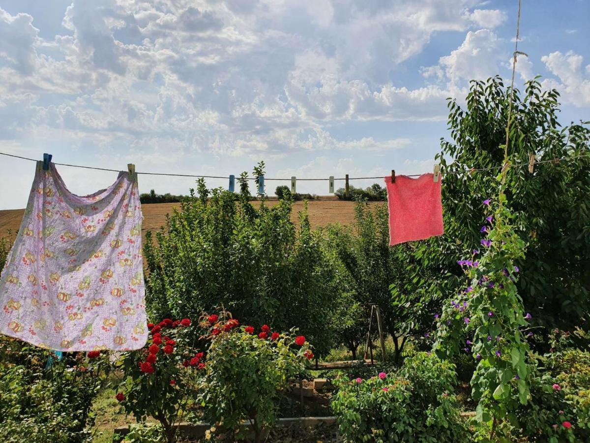 Willa La Casa De Habel Quba Zewnętrze zdjęcie