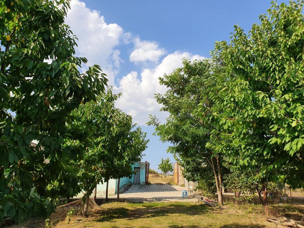 Willa La Casa De Habel Quba Zewnętrze zdjęcie