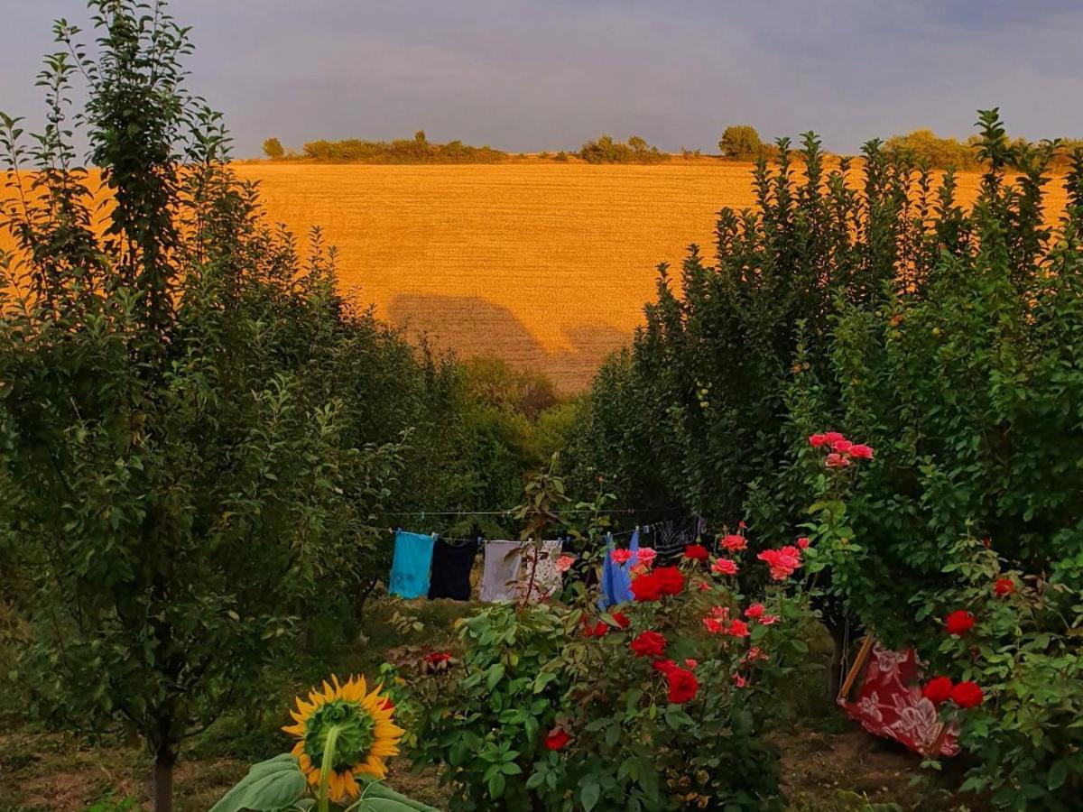 Willa La Casa De Habel Quba Zewnętrze zdjęcie