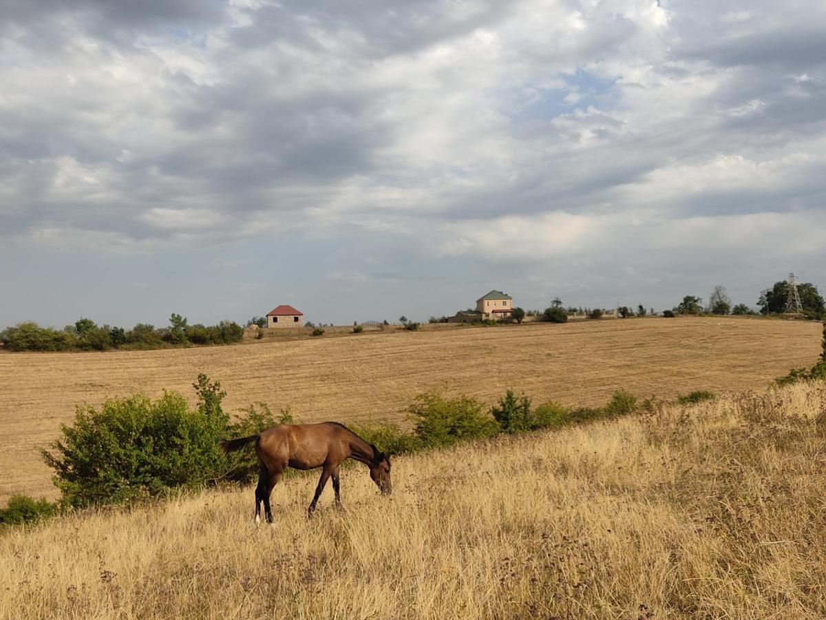 Willa La Casa De Habel Quba Zewnętrze zdjęcie